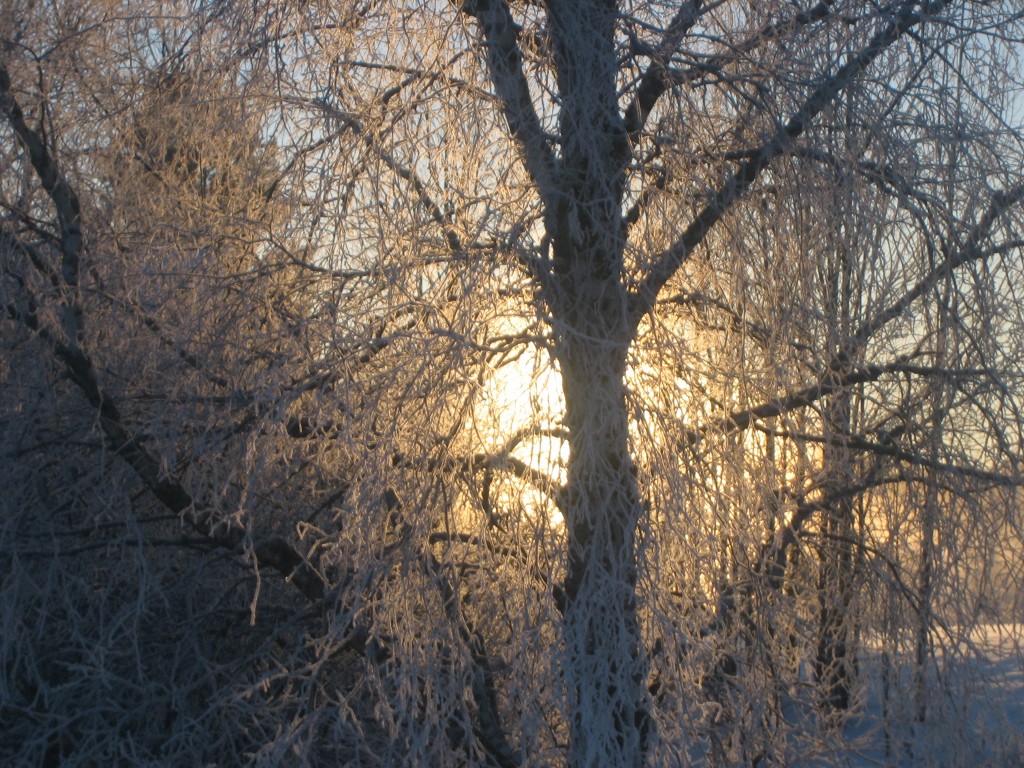 Käkikoski_2